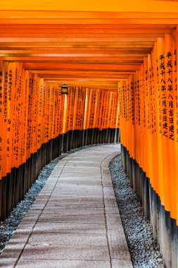 durağındayım tori yolu