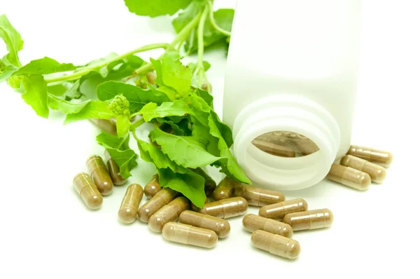 Medicina capsula erba . — Foto Stock