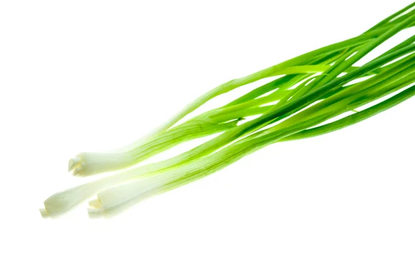 Spring Onion — Stock Photo, Image