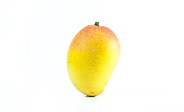 Mango de ouro — Fotografia de Stock
