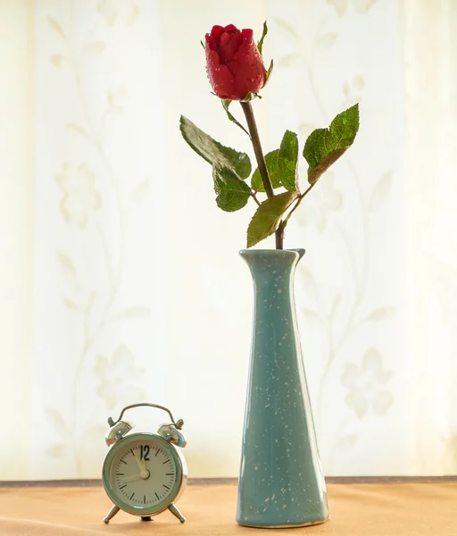 Růže na jar — Stock fotografie