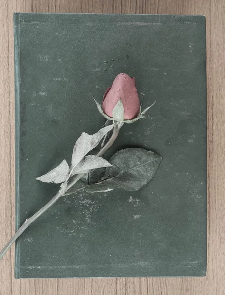 Růže a staré knihy — Stock fotografie