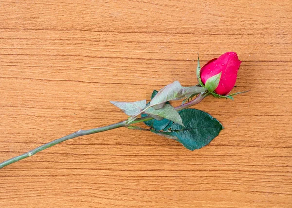 Růže na dřevěné — Stock fotografie