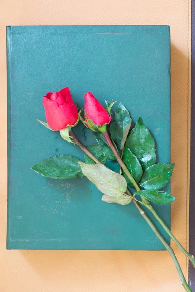 Rose a knihy — Stock fotografie