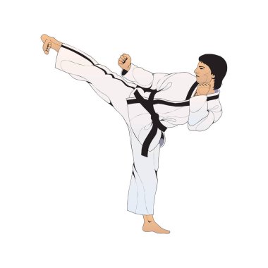 Vector illustration of karate isolated on a white background in EPS10