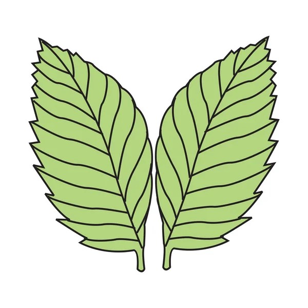 Зеленый Лист Значки Установленные Белом Фоне — стоковый вектор