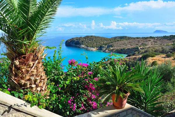 Vista al mar desde la terraza flor, Grecia — Foto de Stock