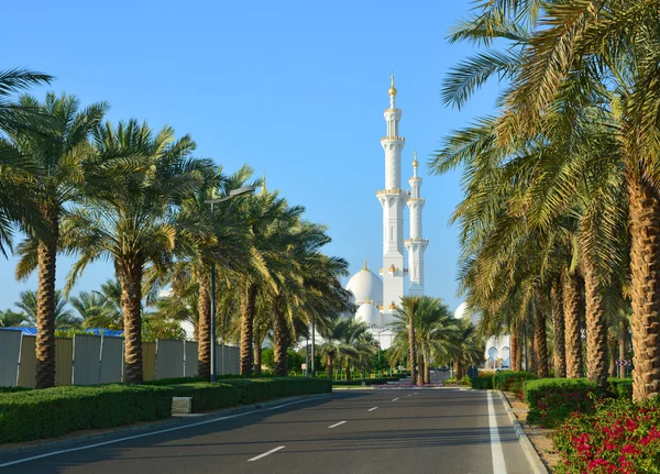 Un parc près de la mosquée — Photo