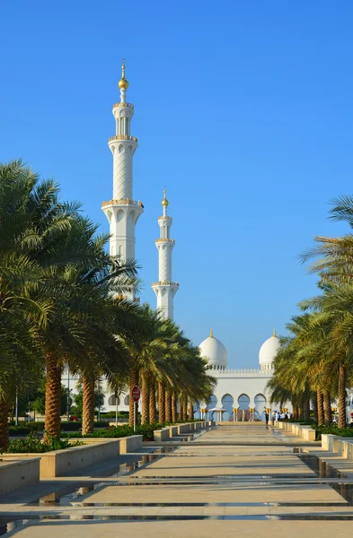 A park near the mosque — Stock Photo, Image