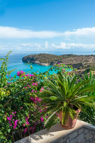 Vista al mar desde la terraza flor . — Foto de Stock