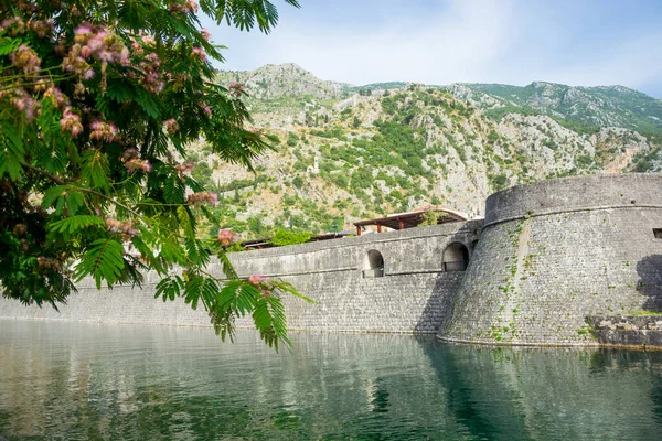Крепостная Стена Вода Города Котор Черногории Перед Горами — стоковое фото