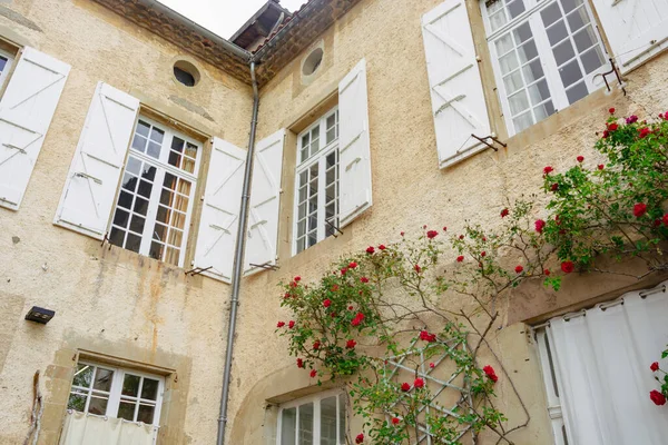 Evin duvarı, güllerle sarmalanmış. Fransa 'nın Lautrec kentindeki ortaçağ binasında Veiw.