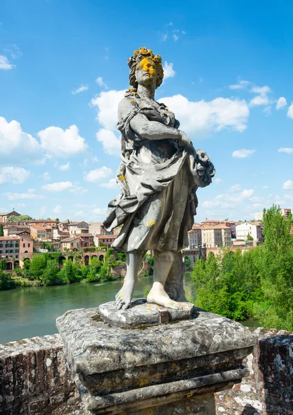 Escultura Passagem Pedra Entrelaçada Com Uvas Perto Museu Toulouse Lautrec — Fotografia de Stock