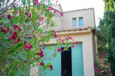 Bir evin yanında kırmızı çiçekler, Pireneler 'de güzel bitkiler, Fransa