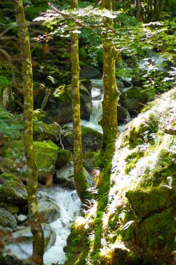 Ars şelalesi, Fransa 'nın güneybatısındaki Arige bölgesinde yer alan doğal bir şelaledir..