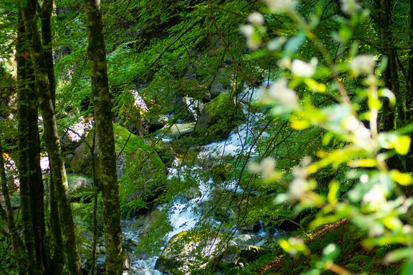 Водоспад Арс Англ Ars Waterfall Природний Водоспад Департаменті Арідж Південно — стокове фото