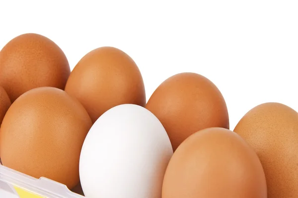 Kahverengi olanları arasında beyaz yumurta. — Stok fotoğraf