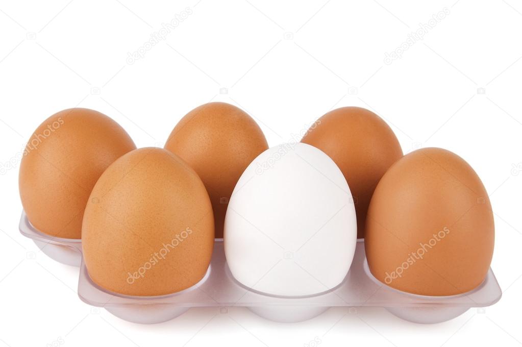 White egg among brown ones.