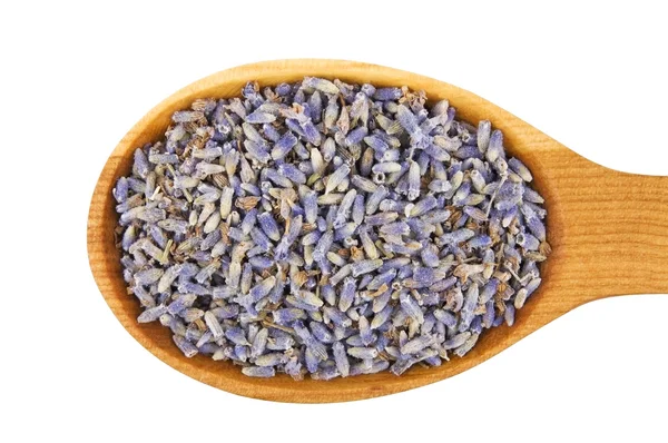 Dried lavender flowers in wooden spoon — Stock Photo, Image