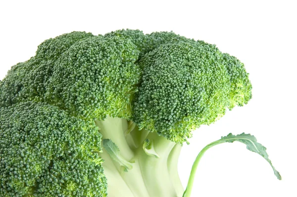 Fresh raw broccoli — Stock Photo, Image