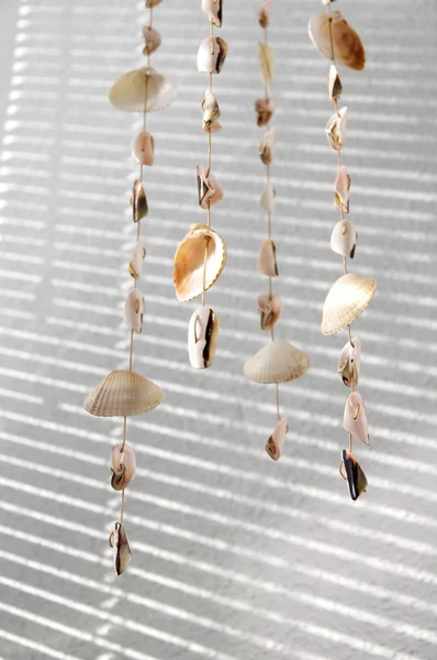 Wind bell of seashells — Stock Photo, Image