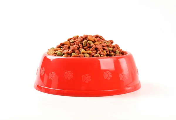 Dog Food Pet Food Red Bowl Isolated White Background — Stock Photo, Image