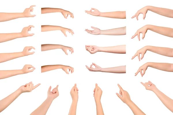 Набор Женской Руки Жестикулируя Изолированы Белом Фоне — стоковое фото