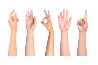 Beyaz arka planda el kol hareketi yapan bir kadın grubu..