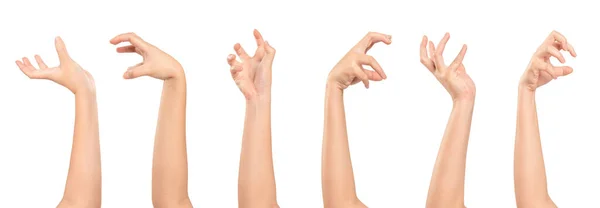 Набор Женской Руки Жестикулируя Изолированы Белом Фоне — стоковое фото