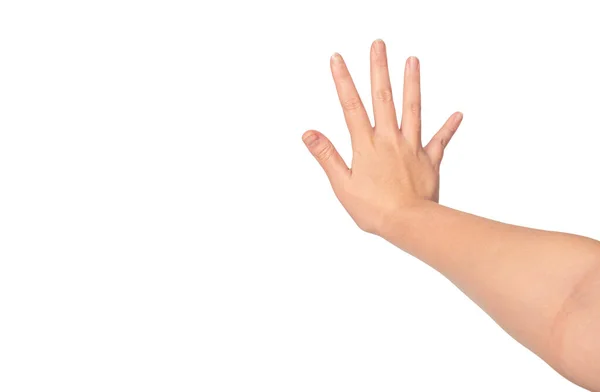 Kobieta Ręka Gestykulując Znak Stopu Izolowane Białym Tle 190 — Zdjęcie stockowe