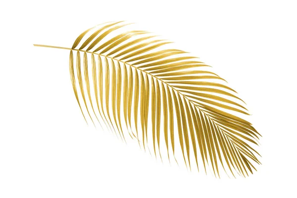 Arany Trópusi Pálma Levelek Elszigetelt Fehér Alapon — Stock Fotó