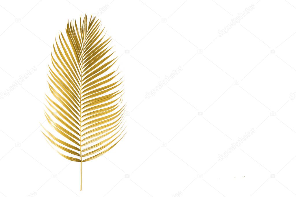 Gold tropical palm leaves isolated on white background