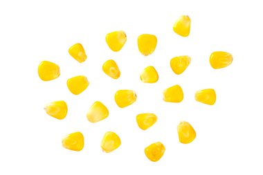 Beyaz arkaplanda izole edilmiş organik mısır tohumu