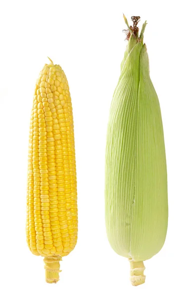 Органічна Кукурудза Ізольована Білому Тлі — стокове фото