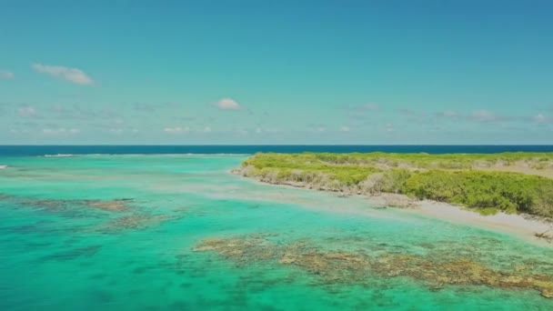 Карибский Остров Парадизиакаль Национальном Парке Моррокой Сокол Венесуэла Вид Воздуха — стоковое видео