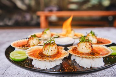 Siyah tabakta yanan kabukları olan deniz tarakları. Lüks restoran yemekleri. Deniz ürünleri, seçici odaklanma.