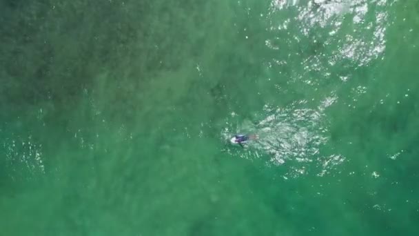 Вид Воздуха Группа Серферов Отдыхает Пляже Пляж Лос Каракас Гуайра — стоковое видео