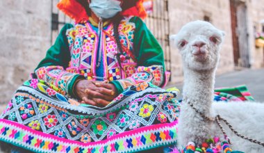 Peruvian Woman in traditional dress with Lama, Portrait of traditional peruvian woman