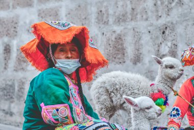 Peruvian Woman in traditional dress with Lama, Portrait of traditional peruvian woman