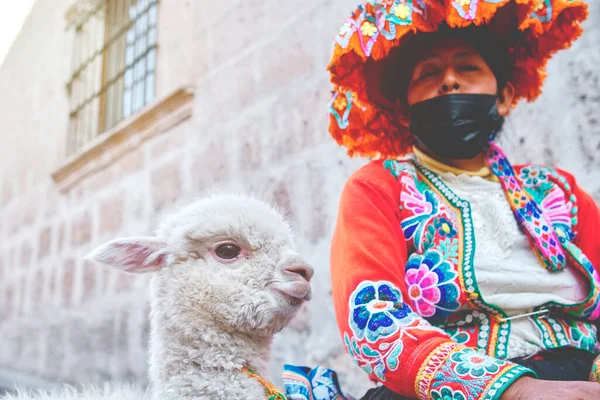Peruvian Woman in traditional dress with Lama, Portrait of traditional peruvian woman