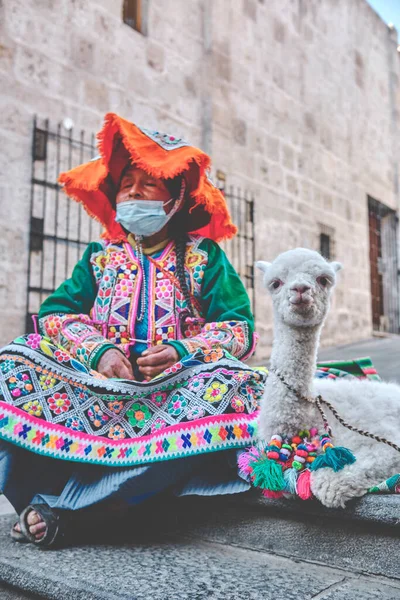 Peruvian Woman Traditional Dress Lama Portrait Traditional Peruvian Woman — Fotografia de Stock