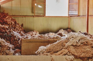 Fibers in an Alpaca Wool Manufacturing Facility, production of ancient fabrics with alpaca wool.