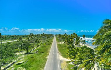 Beautiful Caribbean road with palm trees along the coast of Venezuela, road happy tucacas, Aerial view