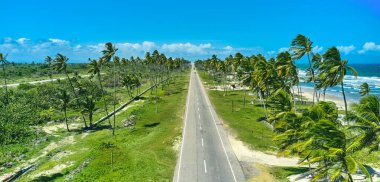 Beautiful Caribbean road with palm trees along the coast of Venezuela, road happy tucacas, Aerial view
