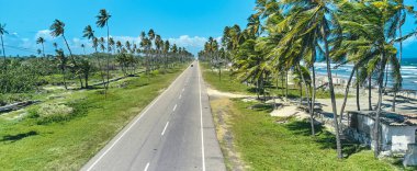 Beautiful Caribbean road with palm trees along the coast of Venezuela, road happy tucacas, Aerial view