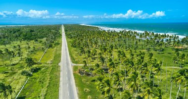 Beautiful Caribbean road with palm trees along the coast of Venezuela, road happy tucacas, Aerial view