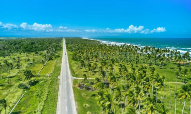 Beautiful Caribbean road with palm trees along the coast of Venezuela, road happy tucacas, Aerial view