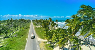Beautiful Caribbean road with palm trees along the coast of Venezuela, road happy tucacas, Aerial view