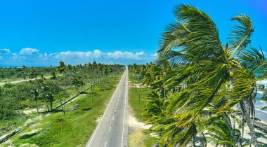 Beautiful Caribbean road with palm trees along the coast of Venezuela, road happy tucacas, Aerial view