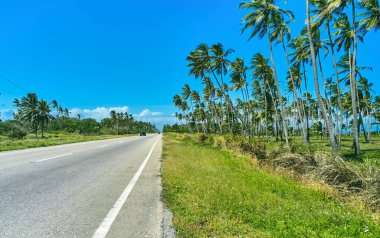 Beautiful Caribbean road with palm trees along the coast of Venezuela, road happy tucacas, Aerial view